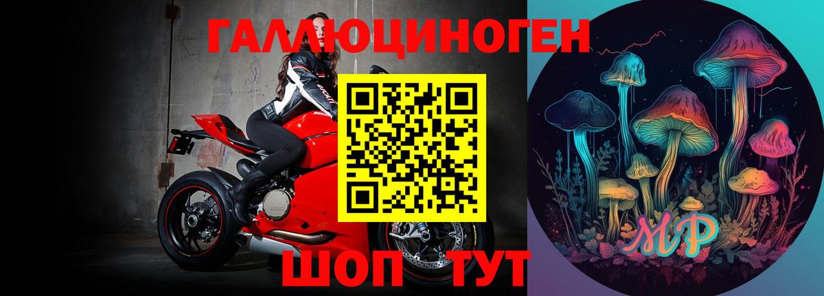 Галлюциногенные грибы мухоморы Ржев