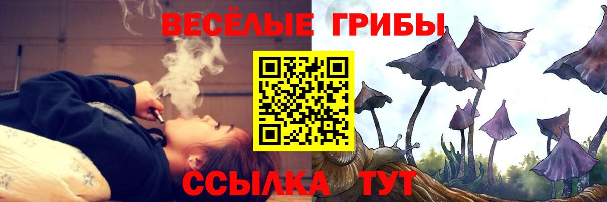 Ржев  Псилоцибиновые грибы мицелий  Вход с VPN  Галлюциногенные грибы MAGIC MUSHROOMS 